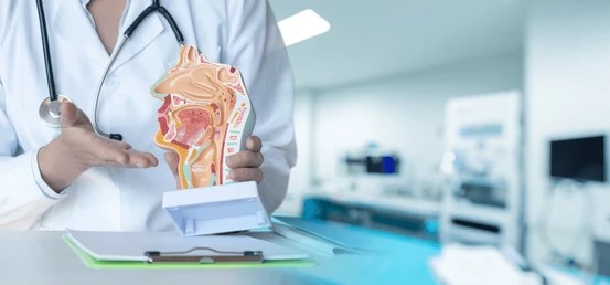 ENT (Ear, Nose & Throat) Department